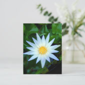 Iceblue Water Lily Briefkaart (Staand voorkant)
