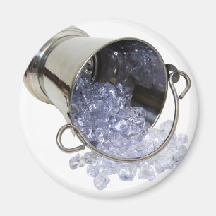 IceBucket060709 Magneet