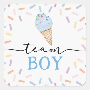 Icecream Geslacht onthullen Team Boy Vierkante Sticker