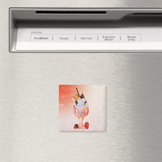 IceCream Magneet (Insitu (Vaatwasser))