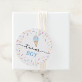 Icecream Team Jongen of Meisje Geslacht Onthullen Bedankjes Labels (In situ)