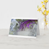 Iced Black Knight Butterfly Struik, Kaart (Gele Bloem)