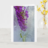 Iced Black Knight Butterfly Struik, Kaart (Gele Bloem)