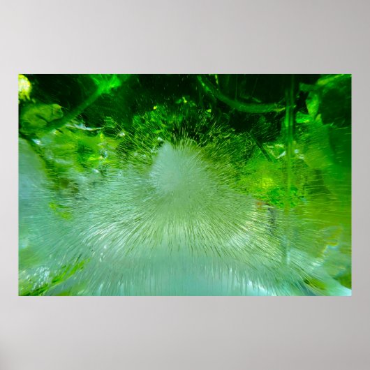 Iced Blossoms, Poster (Voorkant)