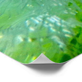 Iced Blossoms, Poster (Hoek)