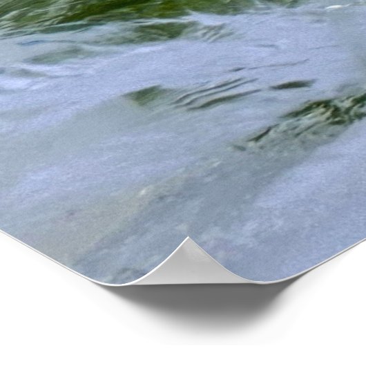 Iced Blossoms, Poster (Hoek)