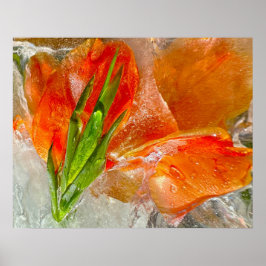 Iced Gladioli, Poster