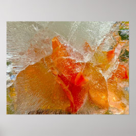 Iced Gladioli, Poster