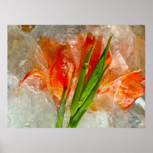 Iced Gladioli, Poster