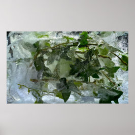 Iced Ivy, Poster