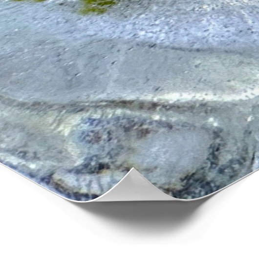 Iced Ivy, Poster (Hoek)