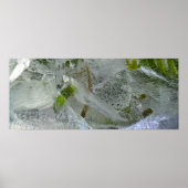 Iced Ivy, Poster (Voorkant)