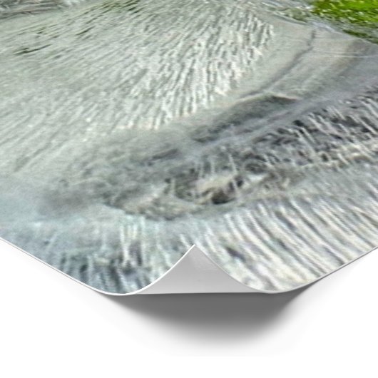 Iced Ivy, Poster (Hoek)