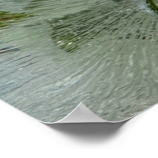 Iced Ivy, Poster (Hoek)