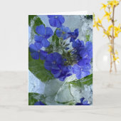 Iced Phlox Kaart (Gele Bloem)