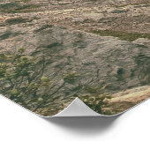 Icefield Parkway Road Poster (Hoek)