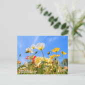Iceland Poppy Briefkaart (Staand voorkant)