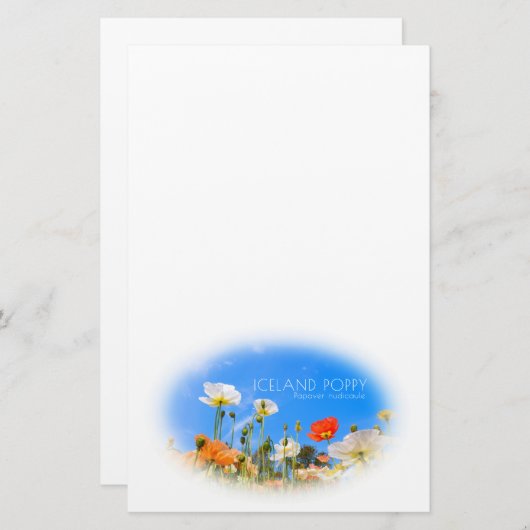 Iceland Poppy Briefpapier (Voorkant / Achterkant)