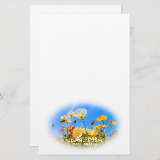 Iceland Poppy Briefpapier (Voorkant / Achterkant)