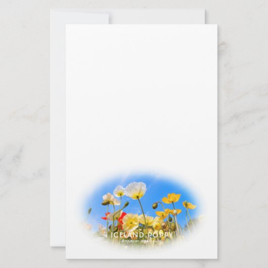 Iceland Poppy Briefpapier (Voorkant)
