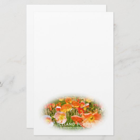 Iceland Poppy Briefpapier (Voorkant / Achterkant)