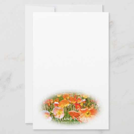 Iceland Poppy Briefpapier (Voorkant)