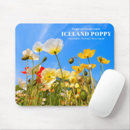 Iceland Poppy Muismat