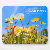 Iceland Poppy Muismat (Voorkant)