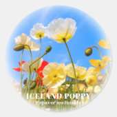 Iceland Poppy Ronde Sticker (Voorkant)