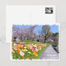 Iceland Poppy × Yoshino Cherry Briefkaart