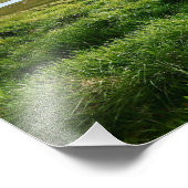 Iceland: Sauðárkrókur Foto Afdruk (Hoek)