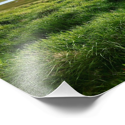 Iceland: ‎⁨Sauðárkrókur⁩ Foto Afdruk (Hoek)