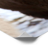 Icelandic Horse during winter on Iceland 3 Poster (Hoek)