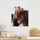 Icelandic Horse during winter on Iceland 3 Poster (Keuken)
