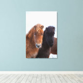 Icelandic Horse during winter on Iceland Canvas Afdruk (Insitu (Houten vloer))