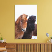 Icelandic Horse during winter on Iceland Canvas Afdruk (Insitu (Woonkamer))