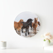 Icelandic Horse during winter on Iceland Grote Klok (Huis)