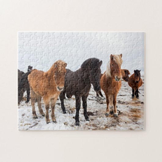 Icelandic Horse during winter on Iceland Legpuzzel (Horizontaal)