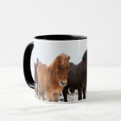 Icelandic Horse during winter on Iceland Mok (Voorkant links)