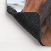 Icelandic Horse during winter on Iceland Muismat (Hoek)