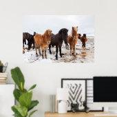 Icelandic Horse during winter on Iceland Poster (Thuiskantoor)