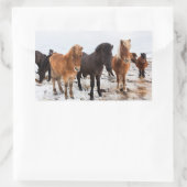 Icelandic Horse during winter on Iceland Rechthoekige Sticker (Tas)