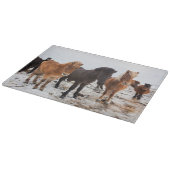 Icelandic Horse during winter on Iceland Snijplank (Hoek)