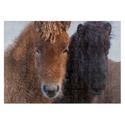 Icelandic Horse during winter on Iceland Snijplank (Voorkant)