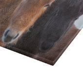 Icelandic Horse during winter on Iceland Snijplank (Hoek)