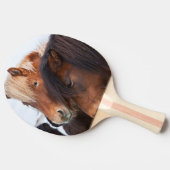 Icelandic Horse during winter on Iceland Tafeltennisbatje (Zijkant)