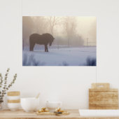 Icelandic Horse in a  Frosty Mist Poster (Keuken)