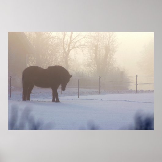 Icelandic Horse in a  Frosty Mist Poster (Voorkant)