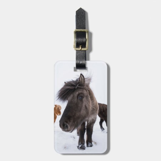 Icelandic Horse Portrait, Iceland Bagagelabel (Voorkant verticaal)