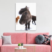Icelandic Horse Portrait, Iceland Canvas Afdruk (Insitu (Woonkamer))